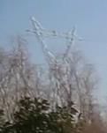 【菊韵】雪的魅（散文）