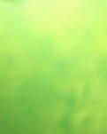 【清风】读茶问瓷（散文）