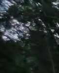 【看点】被遗忘的村庄和老人（散文）