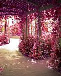 【东篱】留一处花房给她（散文）