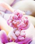 【宁静】搬家（诗歌/ 外一首）