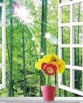 【凤凰】夕花朝拾（微型小说）