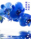 【敏思】最美的和声（外两首）