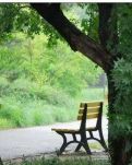 【心灵】谷雨前后组诗（古韵）