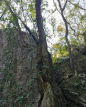 【江山·恒】【山河】生命的力量（散文）