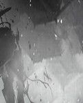 【东篱•追】清明中飘荡的思绪（散文）