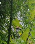 【江山·恒】【柳岸】干休所里的故事（小说）