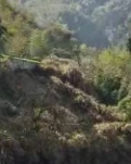 【清风】清 明（散文）