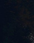 【柳岸•新】那一夜（微小说）