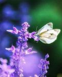 【敏思】宝宝的教育·系列散文