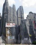 【酒家】心灵之旅（散文）