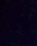 【雅香】悔不当初（小小说）