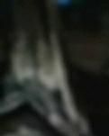 【暗香】边城情（散文）