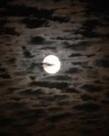 【清风】雨夜的月亮（外两首）（诗歌）