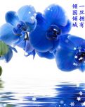 【敏思】深深浅浅都是秋（散文）