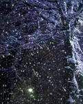 【八一】站台飘雪（小说）