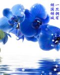 【敏思】《平平仄仄皆入韵》.诗歌 外二首