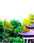 【雅香】今夜星辰您永远闪烁（随笔）