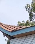 【暗香】春游天台寺（散文）