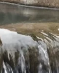 【浪花】狗娃（小说）
