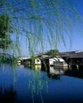 【萌芽】梦在心中，路在脚下（记叙文）