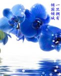 【敏思】同题诗·花是冷的，钥匙是烫的