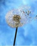 【江山·耕耘】【流年】和风从东来（散文）