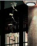 【丹枫】临江仙·古代四大美女（古韵四首））