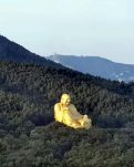 【流年】料青山金佛应笑我（散文）