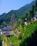 【风恋】寻找（小说）