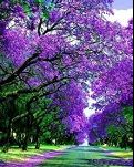 【风恋】我的青春，你还在吗（散文）