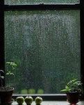 【宁静·韵】雨，一场接一场（散文）