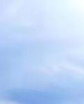 【星月】选用一张自己的背影（外五首）
