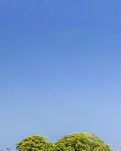 【东篱】东湖游弋在时光的清韵里（诗歌）