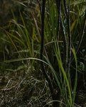【山河●金秋】难忘拾柴的岁月（散文）