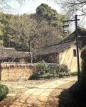 【流年·巢】育英巷三十六号（征文·散文）