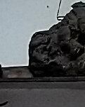 【家园】走过岁月（诗歌.外一首）