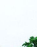 【丁香】大美曲周（散文）