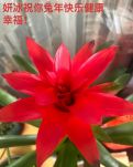 【敏思】人间有味是清欢（散文）