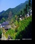 【风恋】大山，钟声与炉火交响曲（散文）