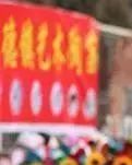【丁香】【护花使者】神船巡游（散文）