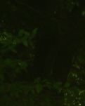 【山河】狂想（组诗）