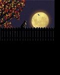 【风恋】银月亮（小说）