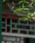​【丹枫】独坐清风弄笛声（轱辘体）。