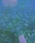 【菊韵】舞动青春（藏头诗）