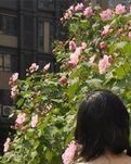 【绿野征文“冰消雪融芳菲日”】春耕夏伏，还有健者舞者，事事如花（诗歌）