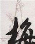 【丁香】【护花使者】高雅情味君子之品（散文）