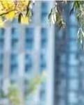 【晓荷·旧时光】错过了，就等于错过一千年（小说）