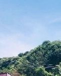 【晓荷.暖】乐游世界花卉大观园（随笔）