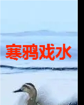【流年】寒鸦戏水（小说）